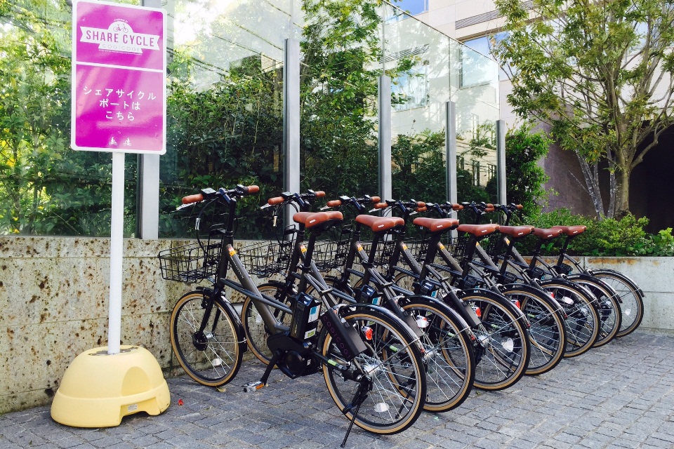 ポートの様子_代官山T-SITEsyousai